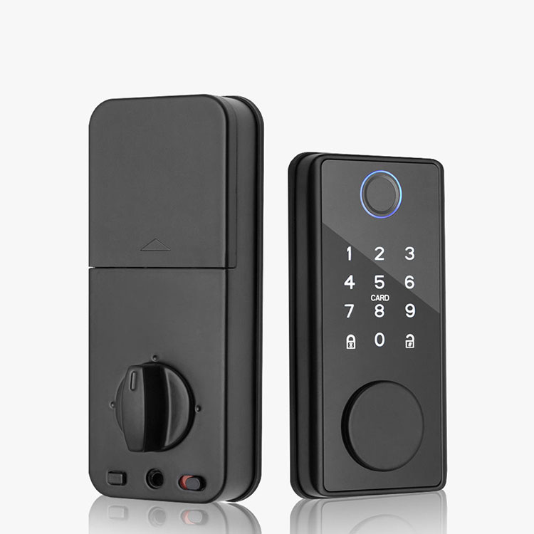 Smart Deadbolt Door Lock - FM 31